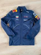 Jasje Red Bull F1 maat 152, Gebruikt, Jongen of Meisje, Puma, Ophalen of Verzenden