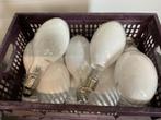 HPL LAMPEN 13 stuks      In 1 koop €30, Ophalen of Verzenden, Gebruikt