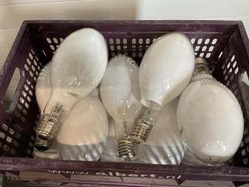 HPL LAMPEN 13 stuks      In 1 koop €30 beschikbaar voor biedingen