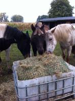 Slowfeeder, Dieren en Toebehoren