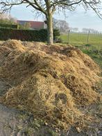 Paarden mest, Ophalen of Verzenden, Mest