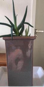 vintage unieke jaren ‘50 bloempot vaas bio kamerplanten, Binnen, Ophalen of Verzenden, Zo goed als nieuw, Terracotta