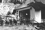 981097	Eerbeek	Gld 1964 	Bungalow Vakantiehuisje gelopen, Ophalen of Verzenden, 1960 tot 1980, Gelopen, Gelderland