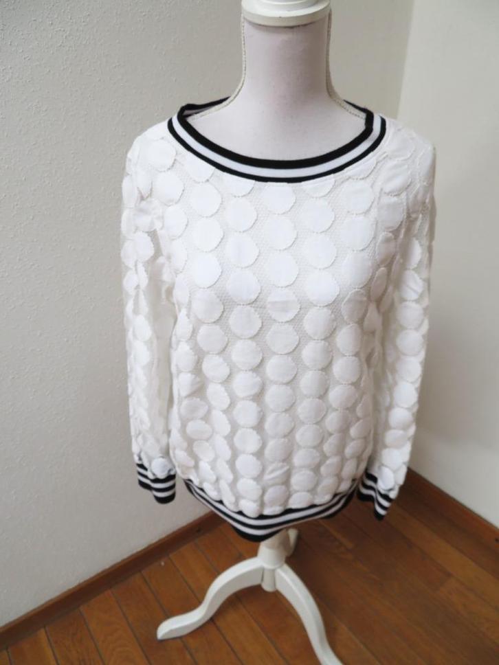 A12 COMMA aparte trui wit blauw maat 42, Kleding | Dames, Truien en Vesten, Nieuw, Maat 42/44 (L), Wit, Ophalen of Verzenden