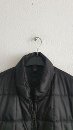 Gant Bodywarmer Maat L, Ophalen of Verzenden, Zo goed als nieuw, Zwart