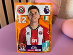 Panini Premier League Parallel Sticker, Ophalen of Verzenden, Nieuw, Buitenlandse clubs, Poster, Plaatje of Sticker