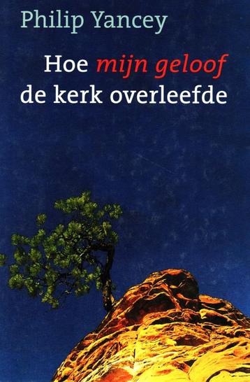 Hoe Mijn Geloof De Kerk Overleefde / 9789043509206 beschikbaar voor biedingen