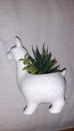 Lama bloempot KUNSTPLANT nepplant plant decoratie, Ophalen of Verzenden, Gebruikt, Binnen