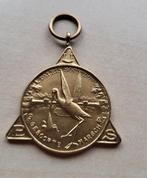 Paleis Soestdijk Den Haag Ooievaar medaille, Ophalen of Verzenden, Overige materialen