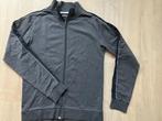 Tricot Vest | antraciet grijs | maat S / M, Ophalen of Verzenden, Zo goed als nieuw, ACC, Grijs