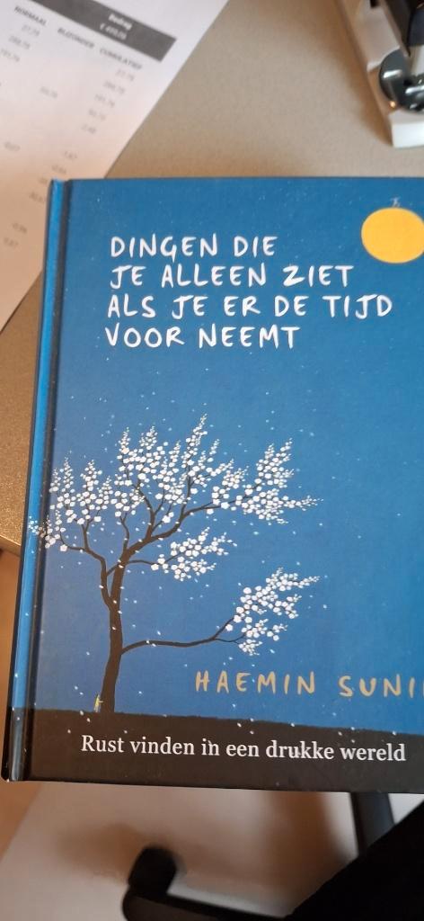 Rust vinden in een drukke wereld, Boeken, Literatuur, Nieuw, Wereld overig, Ophalen of Verzenden
