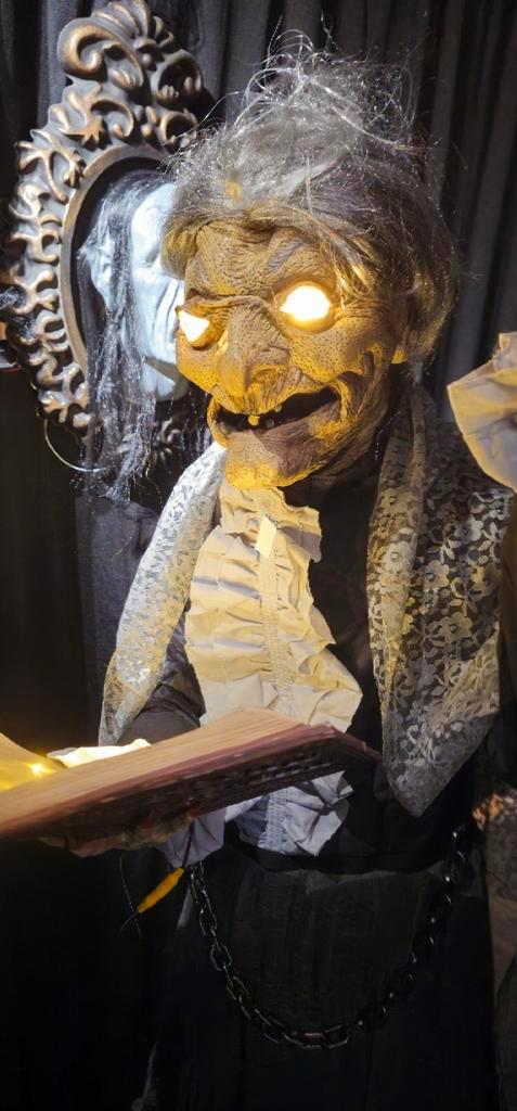 Funny Fashion Bibliotheekheks, Hobby en Vrije tijd, Feestartikelen, Zo goed als nieuw, Halloween of Griezel, Ophalen