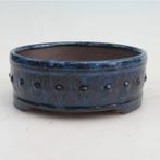 Bonsaischaal 14x14x5.5cm, nieuw en ongebruikt., Ophalen of Verzenden, Volle zon, Overige soorten, Minder dan 100 cm
