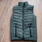 Cars Jeans bodywarmer maat 14 maat 164 mosgroen meisjes, Meisje, Ophalen of Verzenden, Zo goed als nieuw, Cars jeans