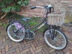Goede Popal meisjesfiets, Ophalen of Verzenden, Gebruikt, 22 inch, Popal