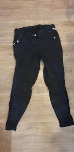 Eurostar rijbroek leren zitvlak maat 36 donkerblauw, Ophalen of Verzenden, Dressuur, Onderkleding