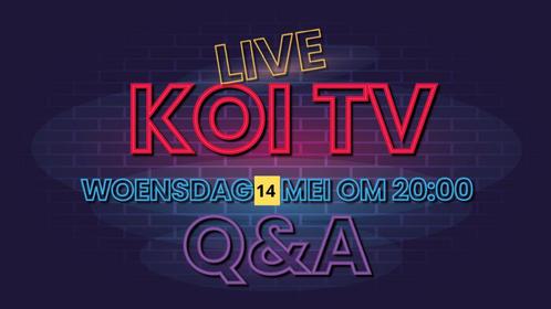 koi tv gratis, Dieren en Toebehoren, Vissen | Vijvervissen, Karper of Koi