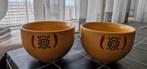 Twee Schaaltjes Sagaform Steengoed Tex Mex, Huis en Inrichting, Ophalen of Verzenden, Zo goed als nieuw, Overige stijlen, Schaal of Schalen