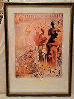 Salvador Dali reproductie in lijst met gratis boek, Ophalen of Verzenden