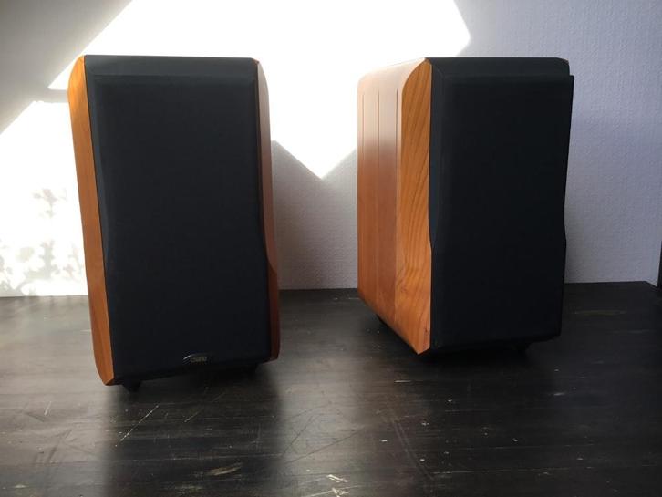 Chario Constellation Lynx, Audio, Tv en Foto, Luidsprekers, Gebruikt, Front, Rear of Stereo speakers, 60 tot 120 watt, Overige merken
