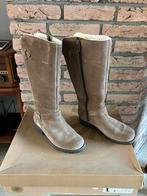 UGG suede laars Jillian nieuw, Kleding | Dames, Schoenen, Ophalen of Verzenden, Zo goed als nieuw, Bruin