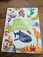 Het Mooie Dierenrijk - Prachtig boek!, Ophalen of Verzenden, Zo goed als nieuw, Isabella Grott