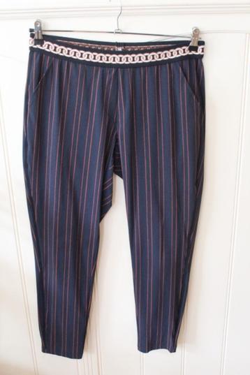 Travelstof broek van STUDIO ANNELOES maat 40 beschikbaar voor biedingen