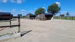 Plaatsen vrij Paddock paradise/groepshuisvesting Ameide, Weidegang, 4 paarden of pony's of meer
