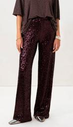 Sissy Boy pailletten broek M, Maat 38/40 (M), Ophalen of Verzenden, Zo goed als nieuw, Lang