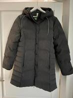 Mooie dames winterjas ZGAN  maat 40, Ophalen of Verzenden, Zo goed als nieuw