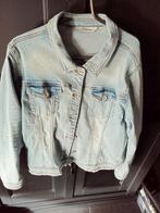 denim jacket maat xxl, Kleding | Dames, Blauw, Ophalen of Verzenden, Zo goed als nieuw, Maat 46/48 (XL) of groter