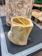geopaliseerd versteend hout indonesie /zeldzaam opalisedwood, Ophalen of Verzenden