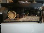 Terrarium/ Aquarium 100x50x40, Dieren en Toebehoren, Minder dan 60 cm, Ophalen of Verzenden, Zo goed als nieuw, Hamster