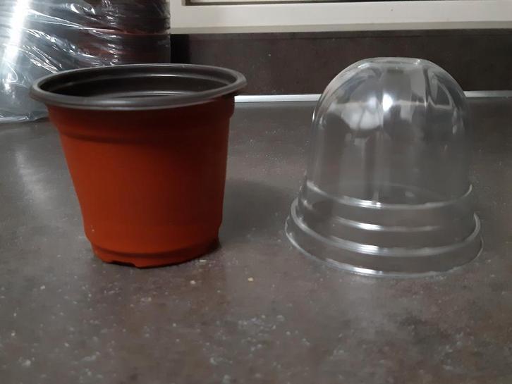 Kweekpotten + "deksel" nieuw, Tuin en Terras, Kweekspullen, Nieuw, Kweekbak, Ophalen of Verzenden