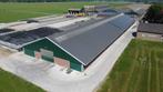 Koeienstal, loods, schuur, spanten