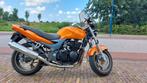 Kawasaki ZR-7 (ZR 750F), 750 cc, 4 cilinders, Particulier, Meer dan 35 kW