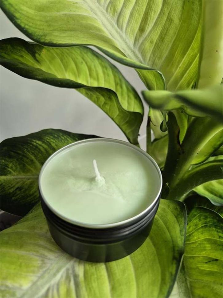 Winter Leafs Geurkaars, Huis en Inrichting, Woonaccessoires | Kandelaars en Kaarsen, Nieuw, Minder dan 25 cm, Overige materialen