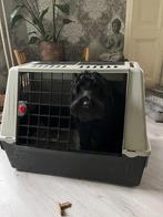 Ferplast Hondenbench , Autotransportbox maat B 80 x B 49, Dieren en Toebehoren, Ophalen, Zo goed als nieuw