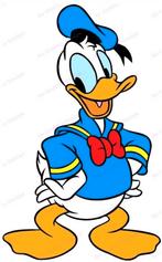 Donald Duck -10 jaargangen (1991-2000), Complete serie of reeks, Walt Disney, Europa, Ophalen of Verzenden