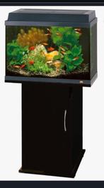 Ombouw/ kast voor Juwel 60 aquarium, Ophalen, Gebruikt, Overige typen