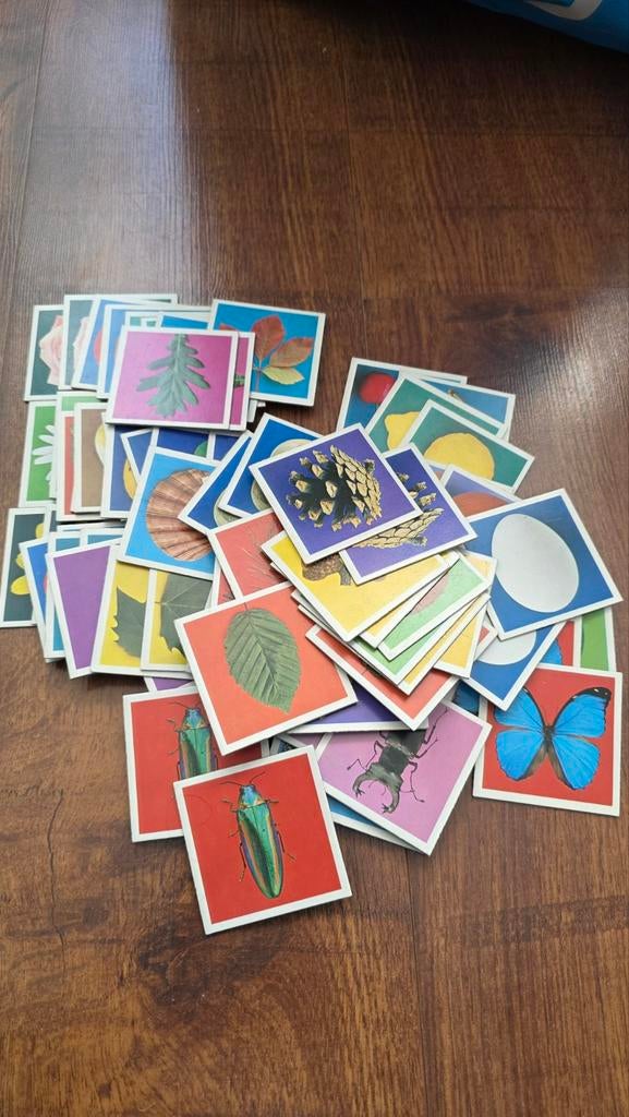 Vintage Junior Memory - Ravensburger 1969 - Compleet, Hobby en Vrije tijd, Een of twee spelers, Ophalen of Verzenden, Gebruikt