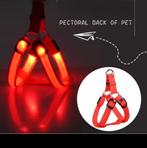 Lichtgevend hondentuig. Rood. L/XL, Dieren en Toebehoren, Ophalen of Verzenden, Nieuw