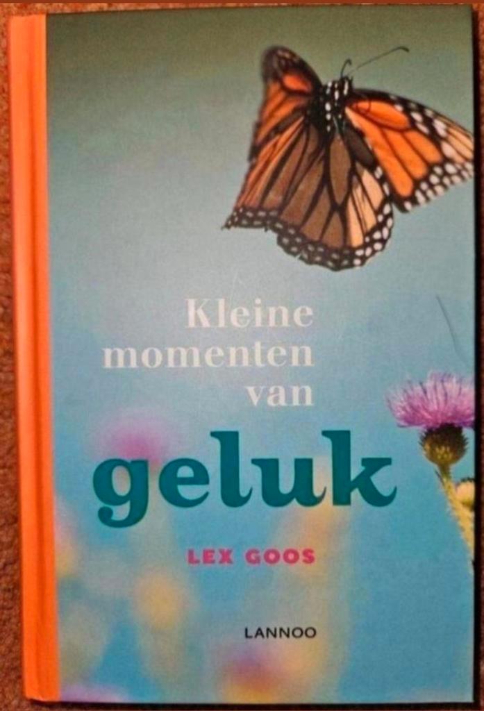 Kleine momenten van geluk - Lex Goos, Boeken, Psychologie, Zo goed als nieuw, Overige onderwerpen, Ophalen of Verzenden