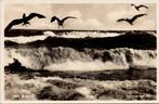 Noordwijk aan Zee - Storm op komst, Verzenden, 1940 tot 1960, Ongelopen, Zuid-Holland