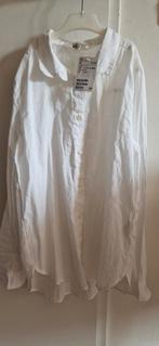 Witte blouse h&m maat 152 nieuw, Ophalen of Verzenden, Nieuw, H&M, Overhemd of Blouse