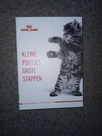 Kittengids van Royal Canin beschikbaar voor biedingen