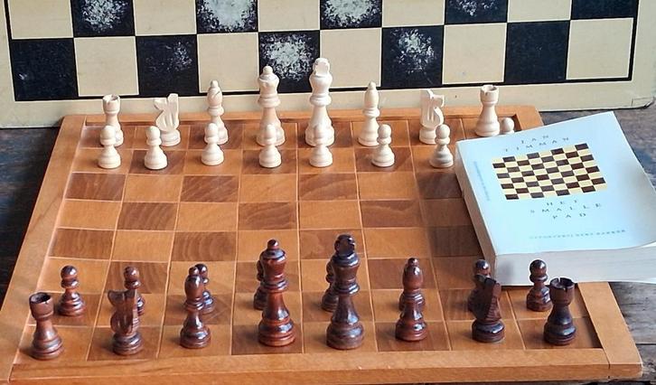 Schaakspel & schaakboek., Hobby en Vrije tijd, Gezelschapsspellen | Bordspellen, Zo goed als nieuw, Een of twee spelers, Ophalen