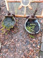 2x Antieke Koeien Drinkbakken - Tuindecoratie, Ophalen, Gebruikt, Metaal, Dierenbeeld