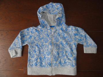 Vest / vestje maat 80 jongen beschikbaar voor biedingen