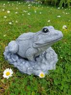 kikker tuinbeeld, Dierenbeeld, Ophalen of Verzenden, Atw, Beton